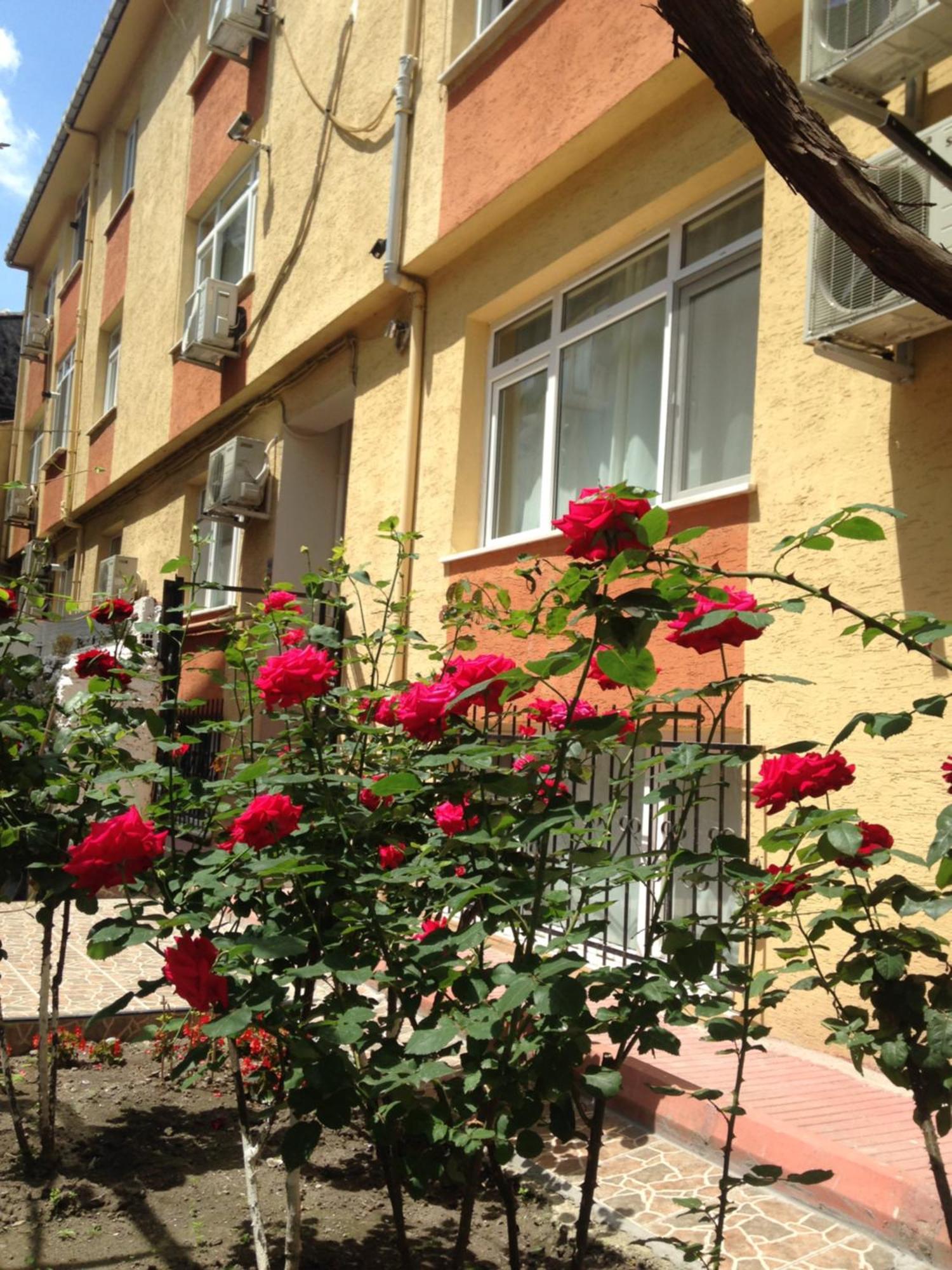 איסטמבול Sultanahmet Deluxe Yilmaz Apart מראה חיצוני תמונה